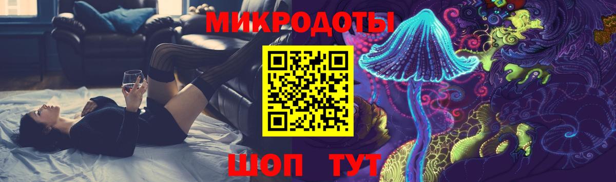 Псилоцибиновые грибы Psilocybe Тамбов