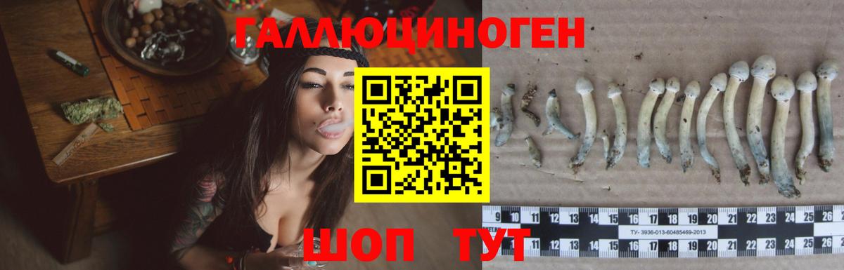 Тамбов  Галлюциногенные грибы Psilocybine cubensis  купить наркотики цена  Вход с VPN 